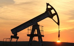 2 ngày tăng 21% lên 31 USD/thùng, giá dầu tăng mạnh nhất trong 7 năm