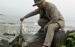 Cá biển chết hàng loạt: Do khu công nghiệp Vũng Áng xả thải?