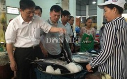 Đà Nẵng triển khai ngày đầu tiên bán cá sạch
