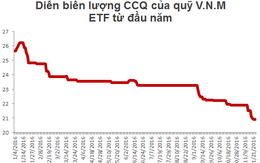 Hai quỹ ETF bị rút ròng hơn 113 triệu USD từ đầu năm