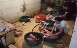 Kinh hãi những con gia cầm trong lò giết mổ 'chui', dán mác thịt sạch vào siêu thị