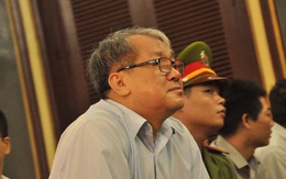 Phiên tòa sáng 29/12: Nhiều bị cáo xin giảm tội, Phạm Công Danh nói đã giao hết cho Phan Thành Mai làm