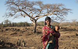 El Nino làm khổ thế giới