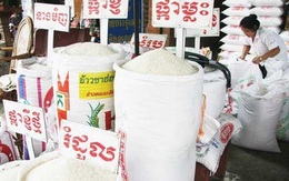 Campuchia sắp tung ra gói cho vay tới 30 triệu USD để bình ổn giá gạo