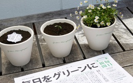 Nhật Bản: Lần đầu tiên trên thế giới một tờ báo có thể trồng ra hoa sau khi đã đọc xong