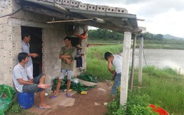 Quảng Ninh: Tôm chết hàng loạt, người nuôi bán vội tôm non