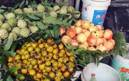 Tám loại hoa quả Trung Quốc nhập về Việt Nam nhiều nhất