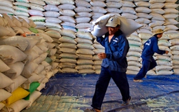Chưa quá lo khi Thái Lan bán toàn bộ gạo dự trữ