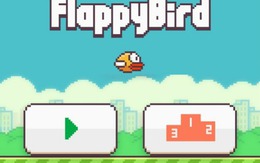 Trừ Flappy Bird của Nguyễn Hà Đông, người tiêu dùng thế giới không có ấn tượng gì về tên tuổi doanh nghiệp Việt Nam