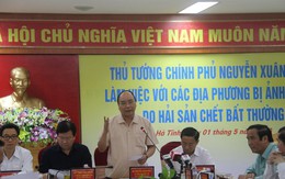 Thủ tướng Nguyễn Xuân Phúc: rà soát hết, kể cả Formosa