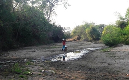 Hạn hán tại Gia Lai: Hàng trăm tỉ đồng...“trôi sông”
