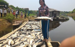 Cty mía đường gây ô nhiễm sông Bưởi đền bù cho người nuôi cá 1,4 tỉ đồng