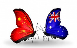 Australia và Trung Quốc: Từ quặng sắt đến ... vitamin và sữa bột