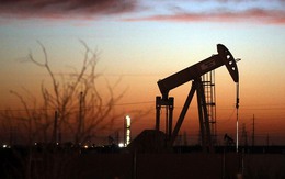 Giá dầu 35 USD là "ranh giới sống còn" cho các công ty dầu Mỹ