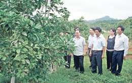 Sở Nông nghiệp có 8 Phó GĐ: Thủ tướng yêu cầu Thanh Hoá thực hiện đúng pháp luật
