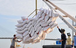 Xuất khẩu gạo 2016: Hạ mục tiêu vẫn không dễ hoàn thành