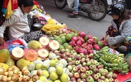 Chuyên gia Phạm Chi Lan: Hoa quả Trung Quốc với thuế 0% có thể làm phức tạp thị trường Việt Nam!