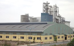 Nhà máy giấy 2.000 tỉ ‘trùm mền’, người dân ôm nợ