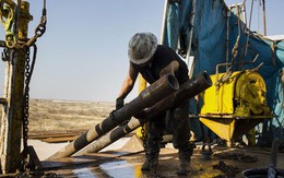 Giá dầu tiếp đáy 3 tháng do lo ngại nguồn cung chồng chất