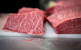 260 USD 1 lạng thịt bò Nhật Bản được nuôi bằng 14 loại thảo mộc và chăn thả tự nhiên