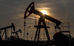 Giá dầu tăng mạnh nhất 7 tháng