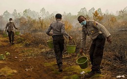 Khiến cả Singapore và Malaysia khốn đốn, cháy rừng ở Indonesia làm hơn 100.000 người tử vong