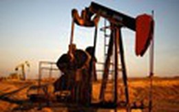 Giá dầu giảm do sản lượng của OPEC lên cao nhất 8 năm