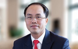 CEO E&Y Việt Nam: "Chúng tôi như người gác cổng, có giấy thì cho qua"