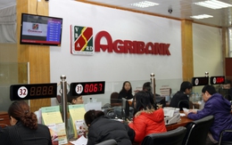 Agribank Phú Thọ bán đấu giá tài sản 4 công ty, giá khởi điểm 8 triệu USD