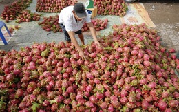 Việt Nam sẽ là ngôi sao sáng tại thị trường Mỹ