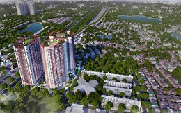 BĐS phía Nam  chưa có dấu hiệu hạ nhiệt ngày giáp Tết