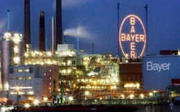 Bayer, Monsanto, 62 tỷ USD và nỗi lo về thuốc trừ sâu của châu Âu