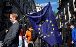 Sau Brexit và Trump, chủ nghĩa dân túy sẽ lan rộng ở châu Âu?