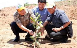 Dự án 37 triệu USD vào nông nghiệp ở Quảng Trị: Không được gia hạn giải quyết vướng mắc thêm một lần nào nữa