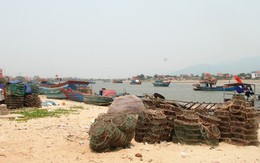 Cá biển tiếp tục chết, ngư dân Quảng Bình điêu đứng