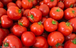 Cà chua: Loại quả nhỏ đánh bay bệnh tật và chống lão hóa