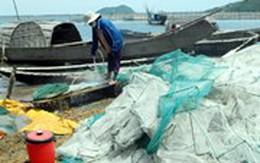 Hàng trăm tấn cá nuôi lồng “chết oan” vì...…Formosa