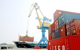 Cảng Đoạn Xá: Lãi 89 tỷ đồng cả năm, tăng 78% so với năm ngoái nhờ container lạnh