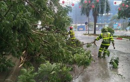 Cơn bão số 1 “cuốn trôi” của Hà Nội gần 200 tỉ đồng
