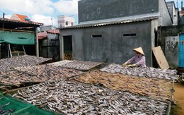 Thiếu nguồn nguyên liệu, làng nghề chế biến hải sản gặp khó