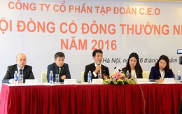 Chi phí đồng loạt nhảy vọt, lãi ròng của CEO Group giảm 42% trong quý 1/2016