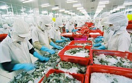 Tôm, cá Việt kiến nghị gỡ khó xuất khẩu hàng sang Trung Quốc
