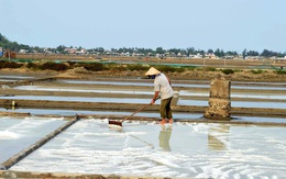 5 kg muối bằng 1 ly trà đá!