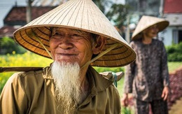 Chuyện Việt Nam ồ ạt nhập đùi gà đông lạnh của Mỹ, Hàn cho tới lối thoát cuối cùng của nền nông nghiệp nước ta