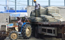 Các khu công nghiệp ở Quảng Nam "mỏi mắt" tìm lao động