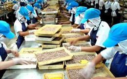 Lợi thế nhân công giá rẻ dần về tay các nước Đông Nam Á