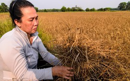 PGS.TS Lê Anh Tuấn: Yêu cầu Trung Quốc xả lũ là việc “lợi bất cập hại”