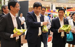 Chuối Việt Nam được bán tại hệ thống siêu thị Aeon toàn Nhật Bản
