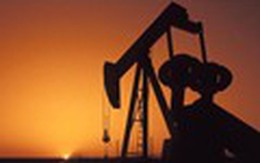 Giá dầu WTI vượt 52 USD/thùng nhờ dự báo lưu trữ giảm mạnh