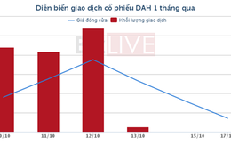 Đua theo cổ phiếu lên sàn, nhà đầu tư vào DAH dính đòn đau?